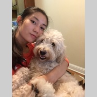 Looking for a roommate in San Francisco - San Francisco