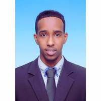 Looking for a roommate in Toronto - Toronto