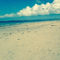 Looking for a roommate in Brooklyn, Manhattan - New York