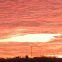 Looking for a roommate in Queens, Brooklyn, Manhattan - New York