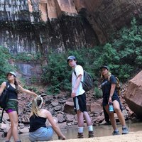 Looking for a roommate in Brooklyn, Manhattan - New York