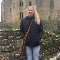 Looking for a roommate in Jersey City / Hoboken, Queens, Brooklyn, Manhattan - New York