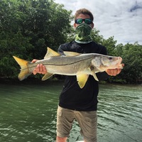 Looking for a roommate in Miami Dade, Miami - Miami