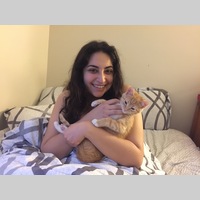 Looking for a roommate in Central Los Angeles, Westside / South Bay - Los Angeles