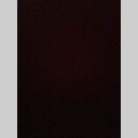 Looking for a roommate in Orange County, Southeast, The Harbor, Westside / South Bay - Los Angeles