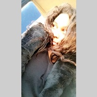 Looking for a roommate in Jersey City / Hoboken, Staten Island, Brooklyn, Manhattan - New York