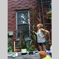 Looking for a roommate in Brooklyn - New York