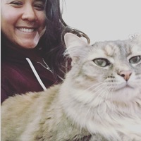 Looking for a roommate in East Bay, San Francisco - San Francisco