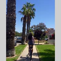 Looking for a roommate in Manhattan - New York