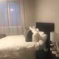 Room for rent in Wicker Park #7