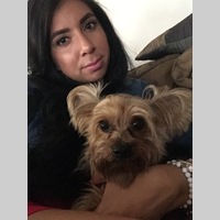 Looking for a roommate in Miami Dade, Miami - Miami