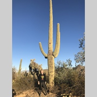 Looking for a roommate in San Francisco - San Francisco