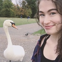 Looking for a roommate in Queens, Brooklyn - New York