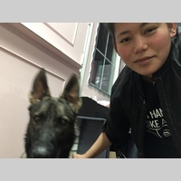 Looking for a roommate in Sw Houston, Se Houston - Houston