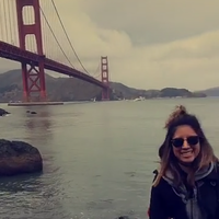 Looking for a roommate in Westside / South Bay - Los Angeles