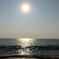 Looking for a roommate in Toronto - Toronto