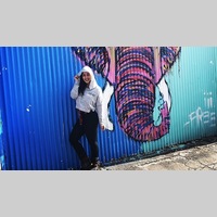 Looking for a roommate in Palm Beach County, Miami Dade, Miami Beach, Miami - Miami