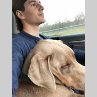 Looking for a roommate in West Houston - Houston