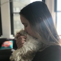 Looking for a roommate in Manhattan - New York