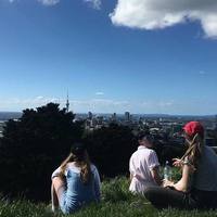 Looking for a roommate in Queens, Brooklyn, Manhattan - New York