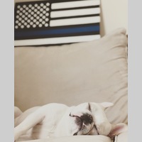 Looking for a roommate in Central Los Angeles - Los Angeles