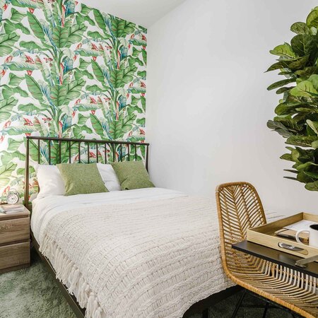 Coliving in Crown Heights - Brooklyn, New York