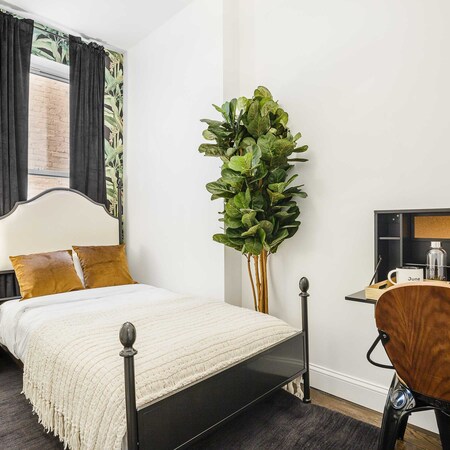 Coliving in Crown Heights - Brooklyn, New York