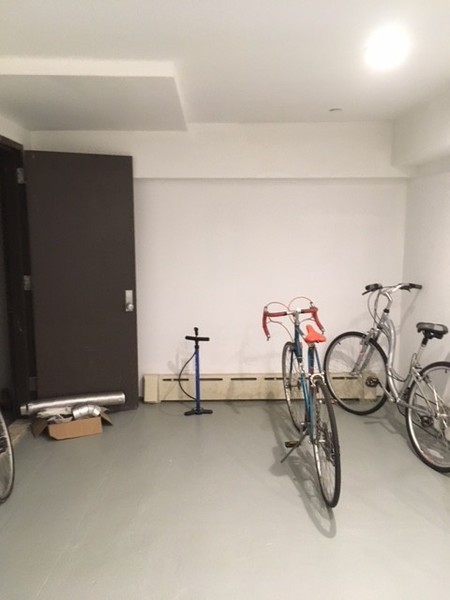 Studio Apartment for rent in Greenpoint - Brooklyn, New York