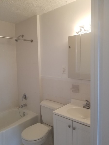 1 bedroom apartment for rent in Roosevelt Island - Manhattan, New York