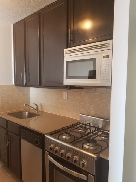 1 bedroom apartment for rent in Roosevelt Island - Manhattan, New York