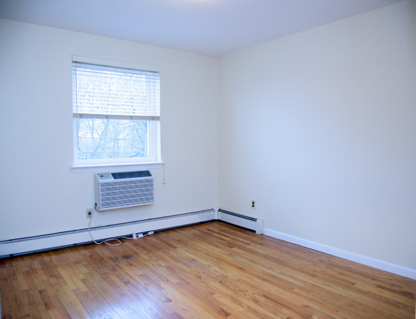 3 bedrooms apartment for rent in Morris Park - The Bronx, New York