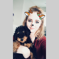 Looking for a roommate in Brooklyn, Manhattan - New York