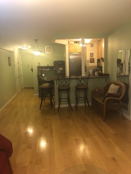 1 bedroom apartment for rent in Midtown East - Manhattan, New York
