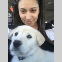 Looking for a roommate in Central Los Angeles, San Fernando Valley, Westside / South Bay - Los Angeles