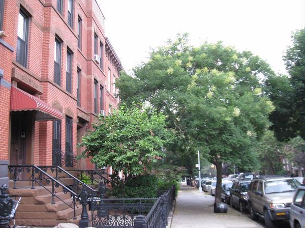 2 bedrooms apartment for rent in Park Slope - Brooklyn, New York