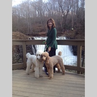 Looking for a roommate in North Atl, East Atl, Central Atl - Atlanta