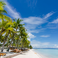 Looking for a roommate in North Dfw, Forth Worth, Sw Dallas - Dallas