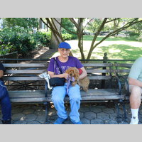 Looking for a roommate in Brooklyn, Manhattan - New York