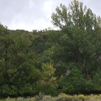 Looking for a roommate in Manhattan - New York