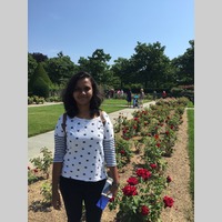 Looking for a roommate in Brooklyn, Manhattan - New York