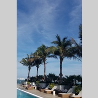 Looking for a roommate in Palm Beach County, Miami Dade, Miami Beach - Miami