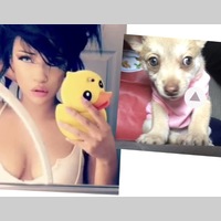 Looking for a roommate in Contra Costa County, South Bay, North Bay, Peninsula, East Bay, San Francisco - San Francisco