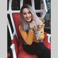 Looking for a roommate in Fair Fax / Va Commonwealth, Washington Northwest - Washington DC