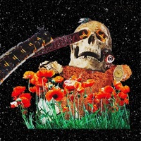 Looking for a roommate in Queens, Brooklyn, Manhattan - New York