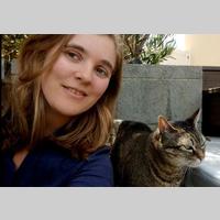 Looking for a roommate in Westside / South Bay - Los Angeles