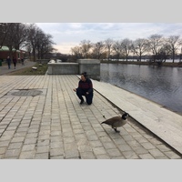 Looking for a roommate in Miami Dade, Miami Beach, Miami - Miami