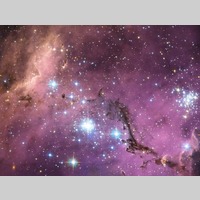 Looking for a roommate in Palm Beach County, Miami Beach, Miami - Miami