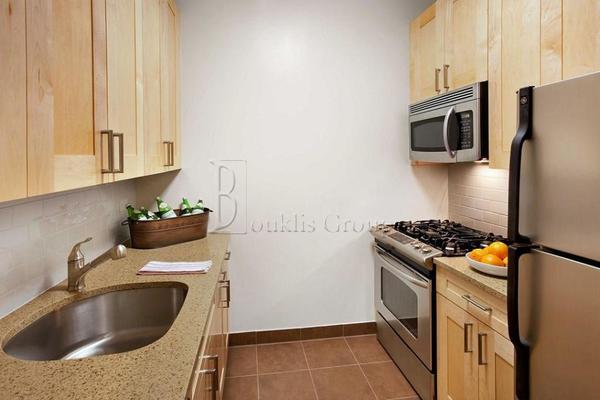 1 bedroom apartment for rent in Financial District - Manhattan, New York