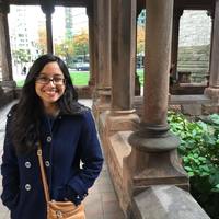 Looking for a roommate in Brooklyn, Manhattan - New York