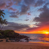 Looking for a roommate in Orange County, Westside / South Bay - Los Angeles